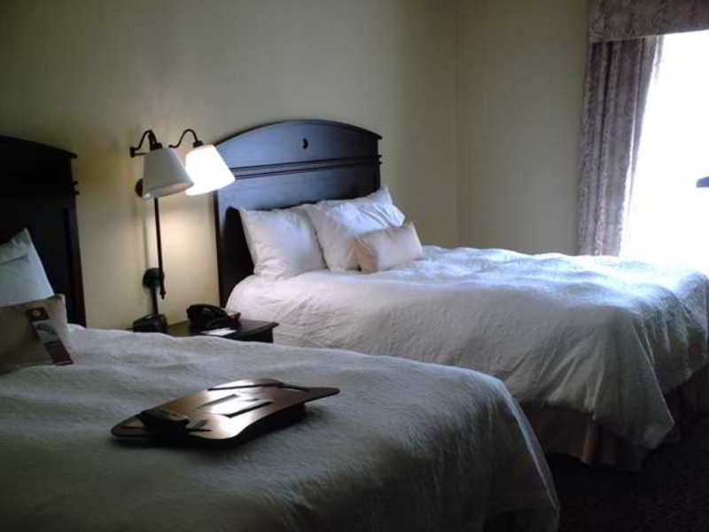 Hampton Inn Vidalia Rum bild